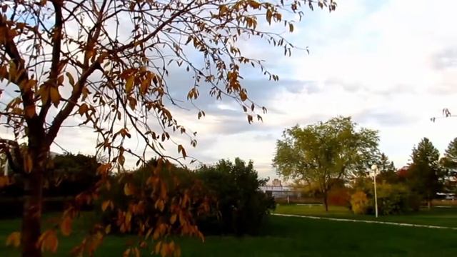 Что тебе нравится? смотреть онлайн
