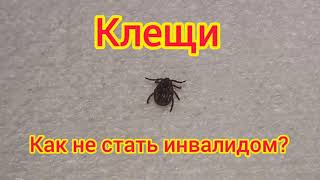 Как защититься от клещей смотреть онлайн