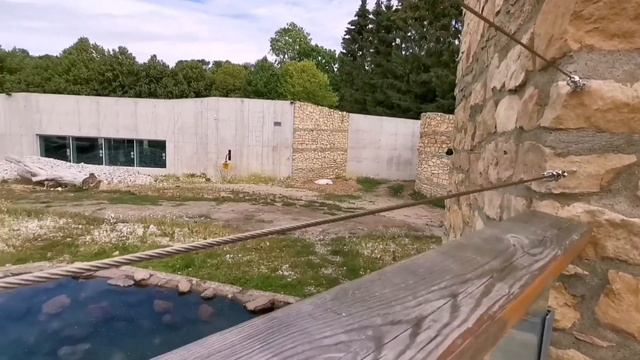 Зоопарк в Таллинне. Эстония. 02.08.2020 смотреть онлайн