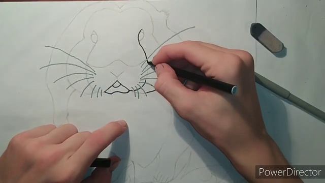 Как нарисовать милого пасхального кролика/How to draw a rabbit смотреть онлайн