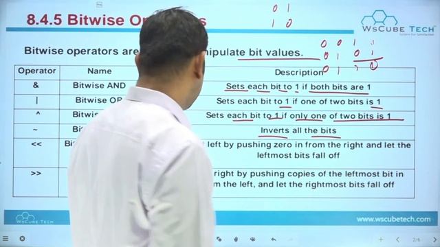 Python Bitwise Operators & Operator Precedence | Chapter 8 Class 11 Computer Science with Python #4 смотреть онлайн