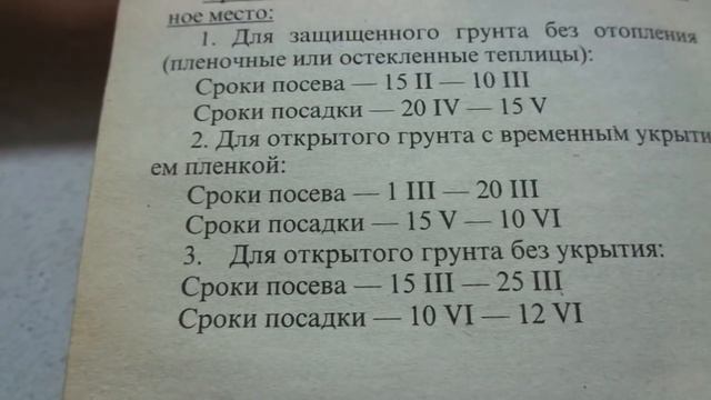 КОГДА НАЧИНАТЬ ПОСЕВЫ ТОМАТОВ ДЛЯ ОТКРЫТОГО ГРУНТА? Ольга Чернова. смотреть онлайн
