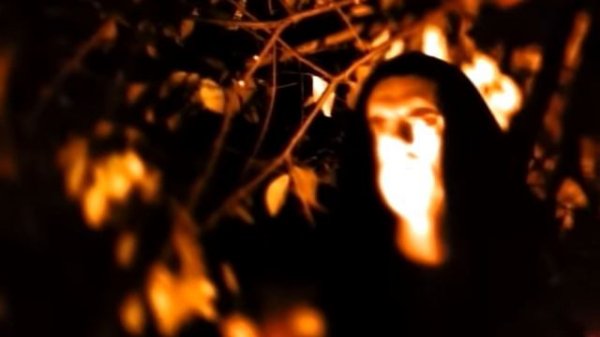 Type O Negative - Love You To Death