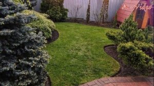 Идеи для украшения приусадебной территории / How to beautifully arrange a garden plot