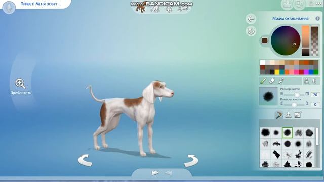 Стая Щетки в симс 4. Часть первая смотреть онлайн