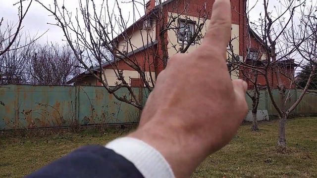 Груша 11 смотреть онлайн