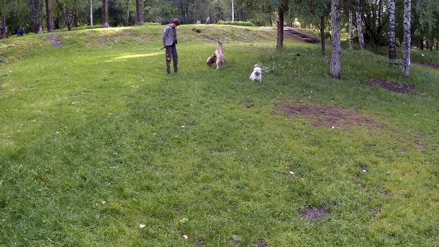 SJCAM 5000X 1080p 60fps смотреть онлайн