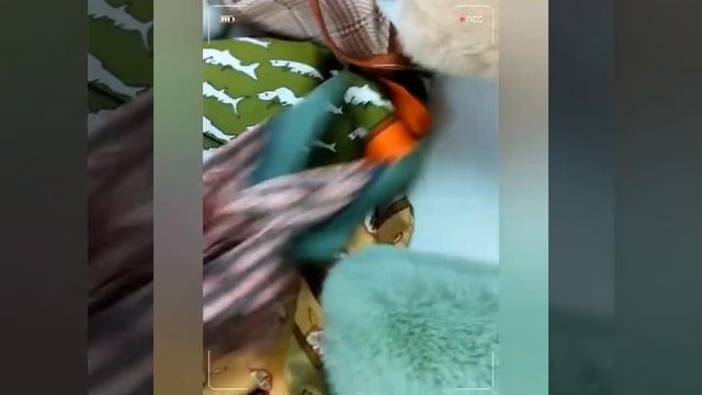 Новинка осень зима 2020 элегантный белый черный воротник из искусственного кроличьего меха шарф смотреть онлайн