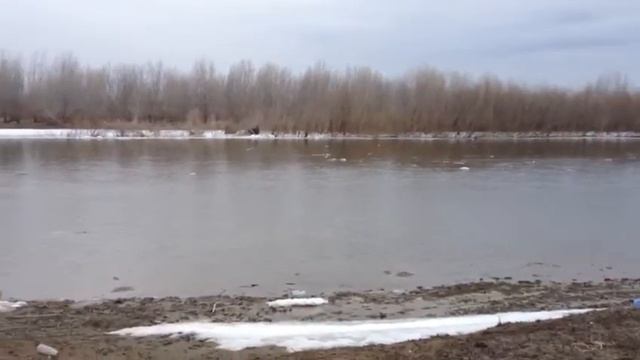 Ерик Казачий, уровень воды в конце марта 2018. смотреть онлайн