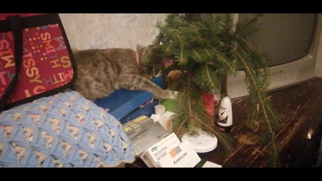 Кошка хулиганочка? смотреть онлайн