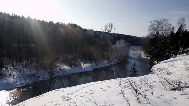 ПРОГУЛКА ПО ЛЕСУ смотреть онлайн