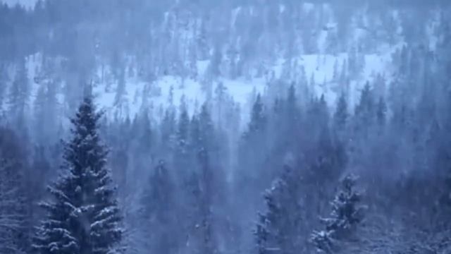 включи шум ветра в лесу зимой слушать звуки природы и деревьев онлайн бесплатно для сна снегопад смотреть онлайн