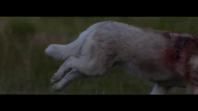 David Guetta - She Wolf (Falling To Pieces) ft. Sia смотреть онлайн