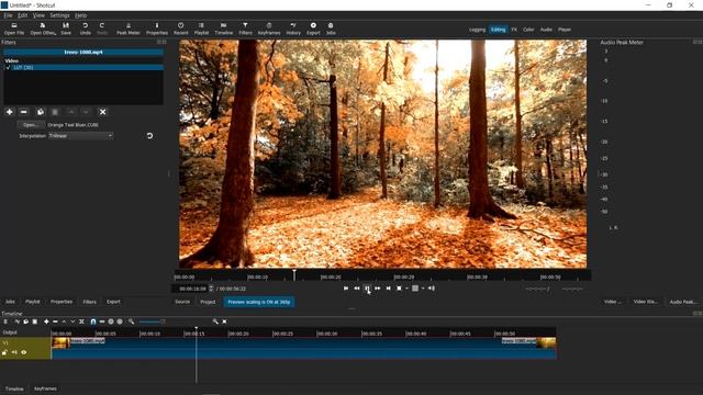 5 Tips for Getting the Cinematic or Filmic Look on Shotcut Video Editor - FREE LUTs смотреть онлайн