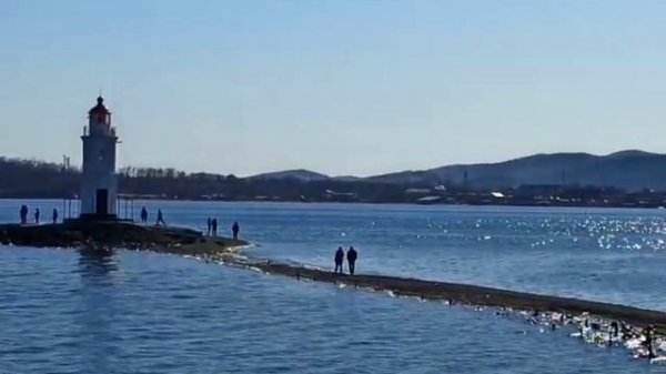 Сытники страдают. Нет им места в собственном доме. Обзор Saveliy Ad