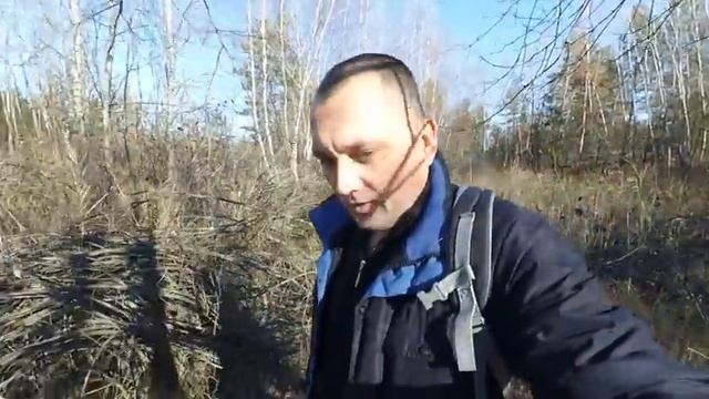ВОЛШЕБНЫЙ ГРИБНОЙ СЕЗОН смотреть онлайн