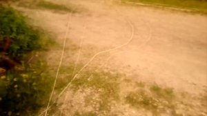 Ловля Роёв ! Секреты установки ловушек! №2