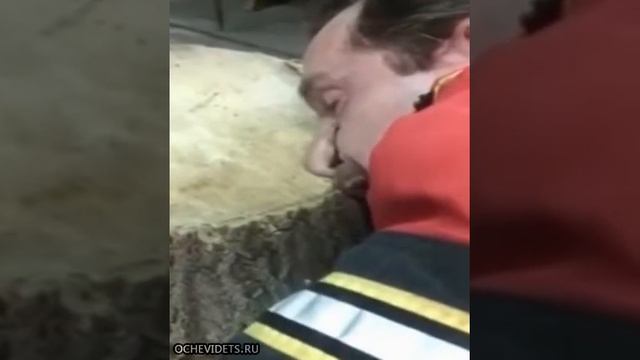 гвоздь  прямо в нос