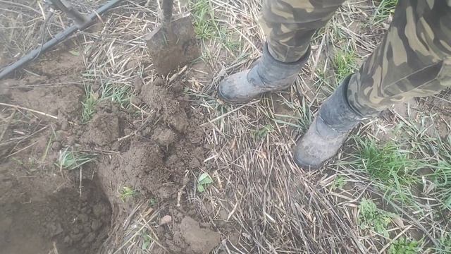 Закрытие сезона смотреть онлайн