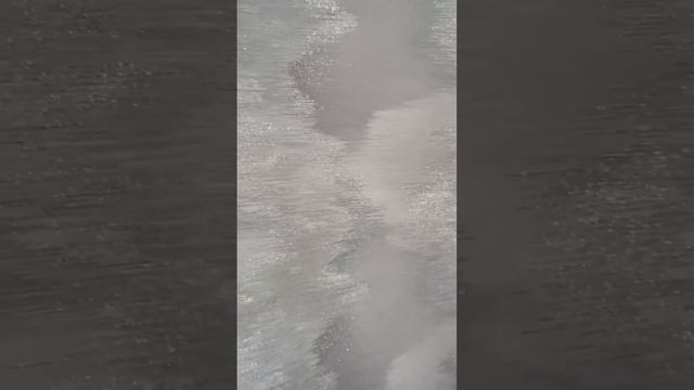 Крутая фабрика обоев Victoria Stenova ✨ смотреть онлайн