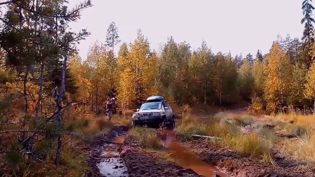 Кожозеро дорога