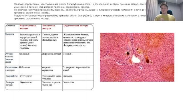 Патологическая анатомия | СМЕШАННЫЕ ДИСТРОФИИ