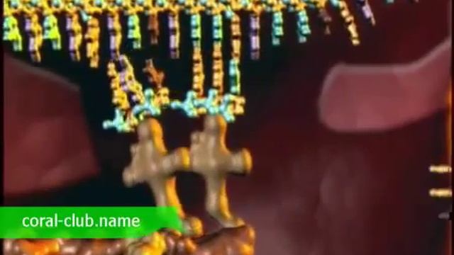 ДНК Клетки смотреть онлайн