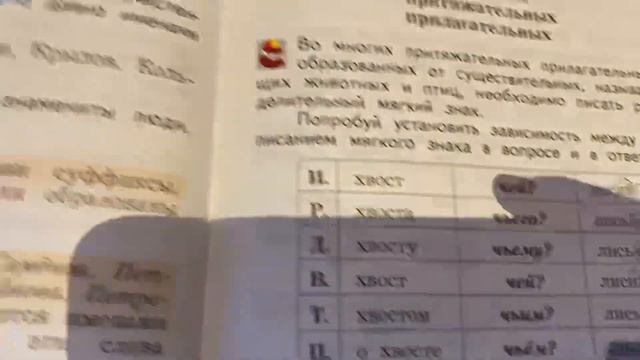 Русский язык3 клПритяжательные прилагательные19.04.22
