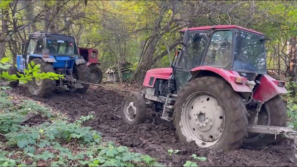Off-Road Adventure: Forest Tractors for Eco-Friendly Path Maintenance 2023