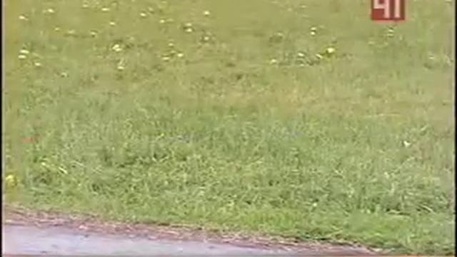 Ст41, вело тандем смотреть онлайн