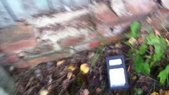 Радиация в Петровой Буде. Гордеевский район. смотреть онлайн