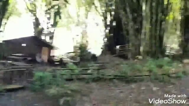 Bamboo forest, Lumajang, East Java, Indonesia ? смотреть онлайн