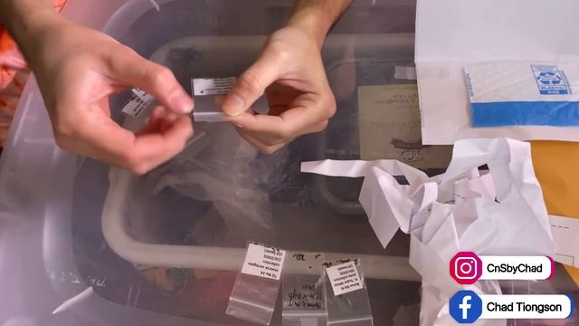 Haworthia Reverse Variegated Seeds