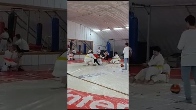 Спортивный фестиваль Г.Кисловодск школа Золотой Тигр смотреть онлайн