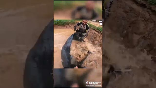 VID-20231204-WA0007.mp4