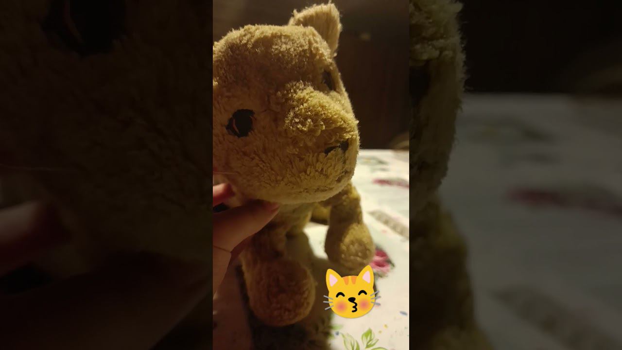 23 сентября 2023 г. смотреть онлайн