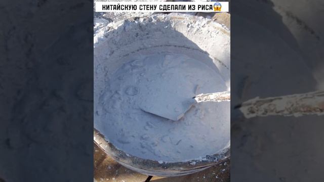 Зачем использовали рис при строительстве Великой китайской стены?😱 смотреть онлайн