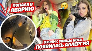 ПОПАЛА в АВАРИЮ ! ВЗЯЛИ с УЛИЦЫ КОТА , ПОЯВИЛАСЬ АЛЛЕРГИЯ !
