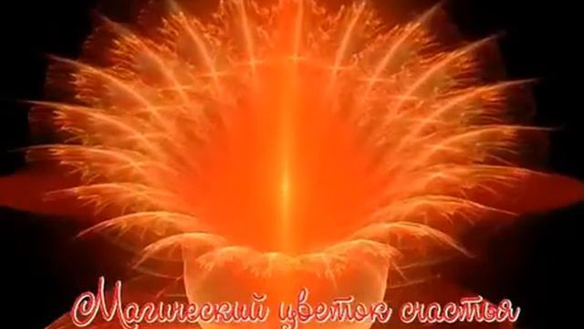 "Цветок счастья!" смотреть онлайн