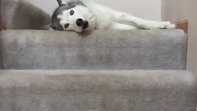 семейный ансамбль смотреть онлайн