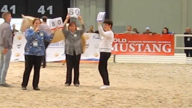 Akhalteke perlino stallion Anzhi Khan 2014 y b смотреть онлайн