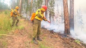 Тушение лесных пожаров