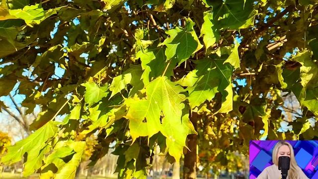 Чтобы получить наследство деда, Максим женился на официантке. Но спустя пять лет всех ждал сюрприз. смотреть онлайн