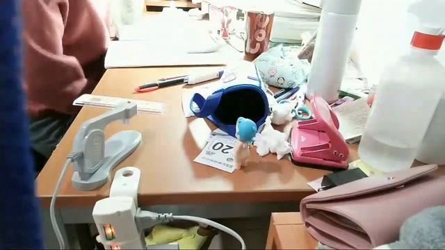 SWM 2019/1/1 смотреть онлайн