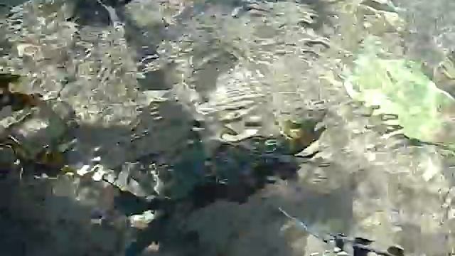 Кормление рыб. Египет. смотреть онлайн