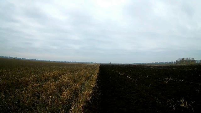 Пахота подсолнуха, последнее поле в 2020) смотреть онлайн