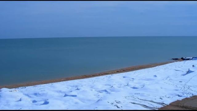 Кирилловка. Азовское море. На берег выпал снег! 3 собаки на пляже. 22 Марта. Вебкамера. смотреть онлайн