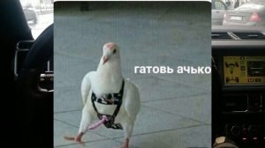 Range Rover Supercharged 2008 года 4.2 краткий обзор