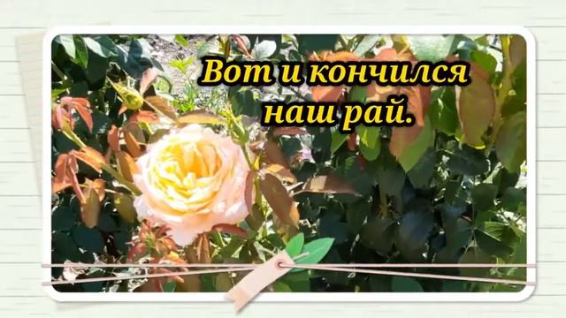 Последний день лета СЛËЗЫ смотреть онлайн