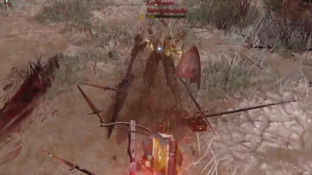 ELDEN RING - The Champion of Leyndell - Dexterity lightning PvP Build 125 смотреть онлайн